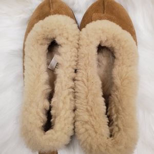 Uggs Shoes